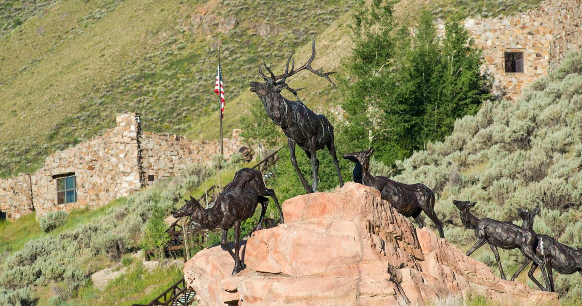 national-museum-wildlife-art