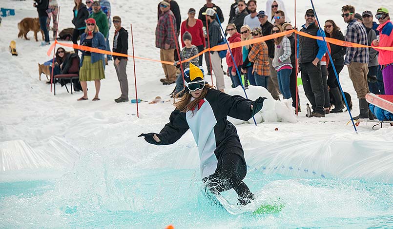 15-snowking-pondskimming-159