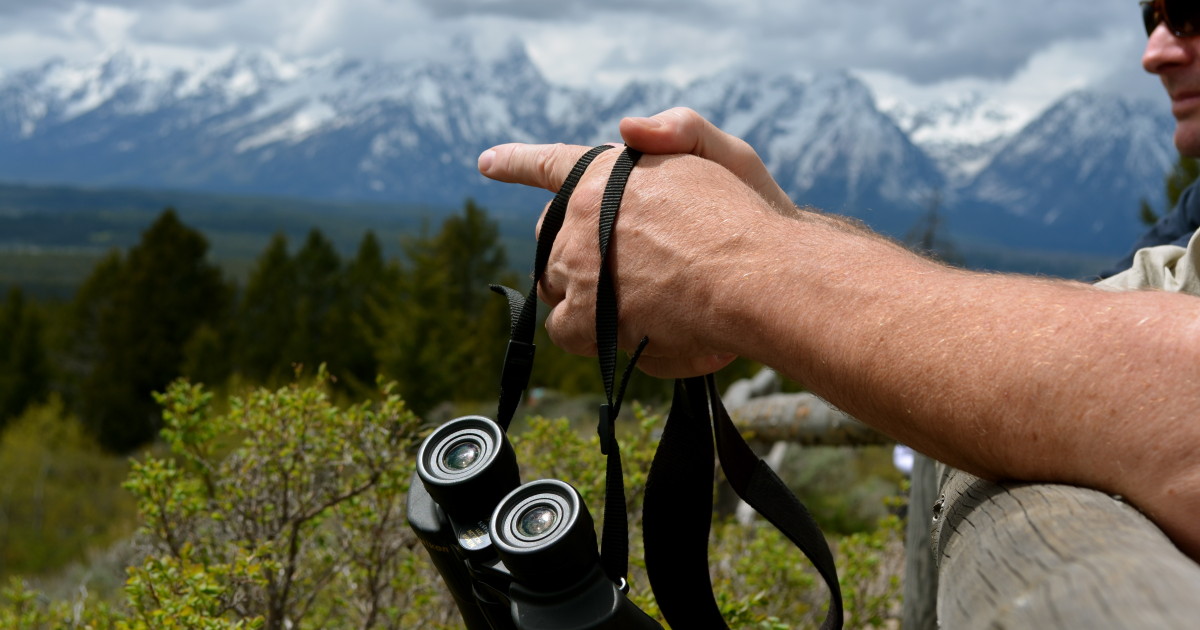 Jackson Hole Scenic Safaris